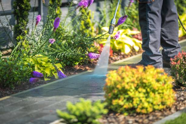 Best Patio and Deck Pressure Washing  in Alachua, FL