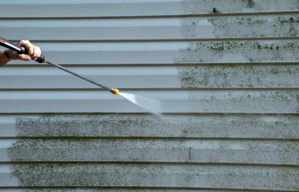 Best Fence Cleaning  in Alachua, FL